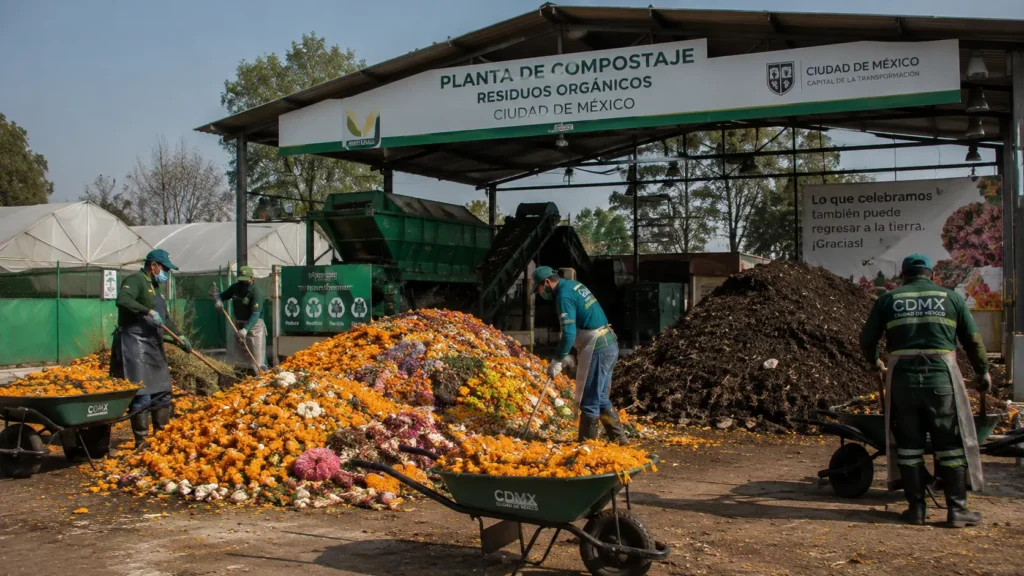 Workers composting marigold flowers as part of day of the dead mexico city cleanup sustainability efforts